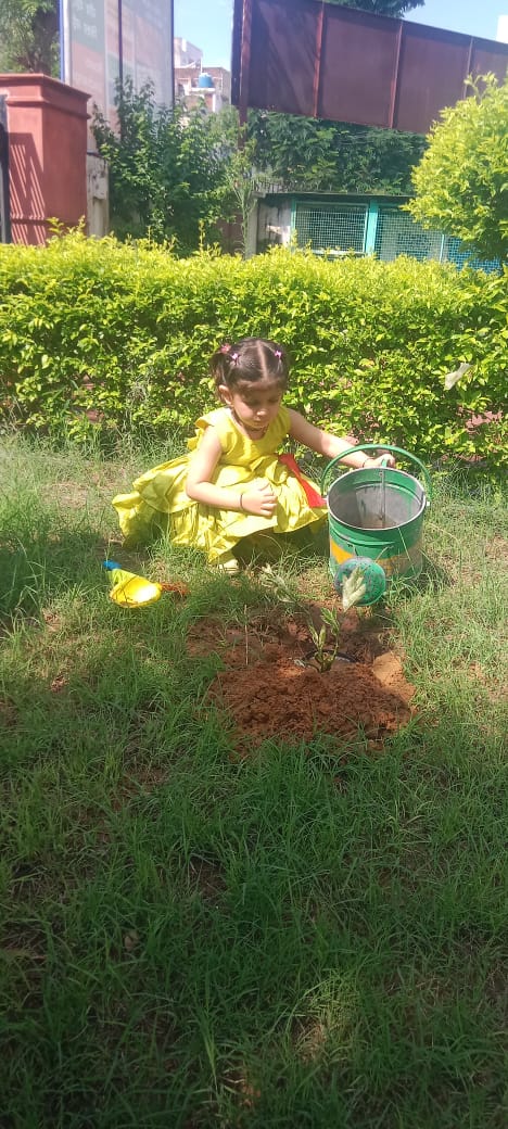 भाजपा नेता आलोक पारीक ने चलाया एक पेड़ मां के नाम अभियान, 3 साल की हिताक्षी शर्मा ने पेड़ लगा कर दिया जन संदेश।
